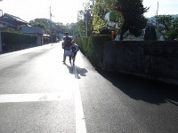 IMGP6312