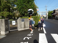 IMGP6320