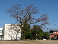 IMGP6341