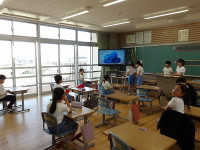 IMGP6334
