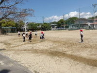IMGP6378