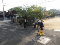 IMGP6395
