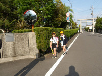 IMGP6401