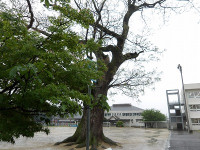 IMGP6484