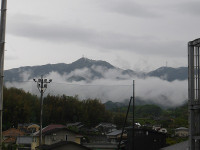 IMGP6518
