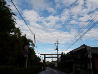 IMGP6542
