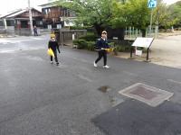 IMGP6527