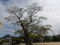 IMGP6712