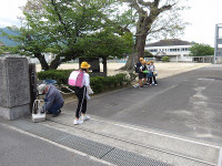 IMGP6695