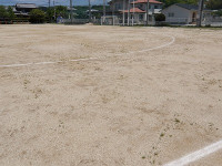 IMGP6748