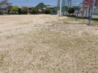 IMGP6751