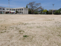 IMGP6752