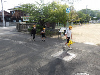 IMGP6761
