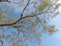 IMGP6857