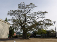 IMGP6939