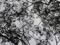 IMGP7125