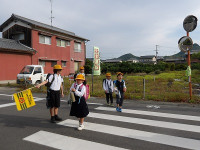 IMGP7028