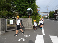 IMGP7031