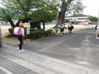 IMGP7033