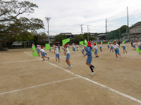 IMGP7061