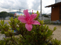 IMGP7128