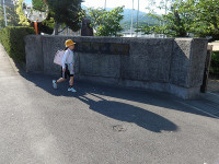 IMGP7136