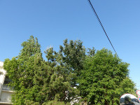 IMGP7240