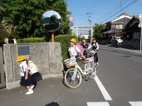 IMGP7254