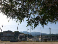 IMGP7524