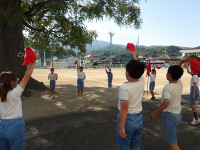 IMGP7538