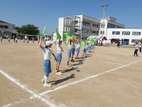 IMGP7584