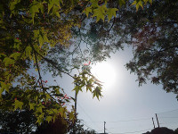 IMGP0371