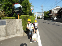 IMGP0361