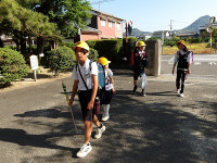 IMGP0377