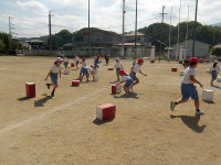 IMGP7726
