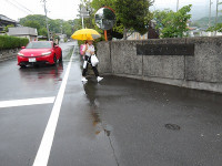 IMGP7739