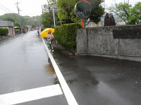 IMGP7741