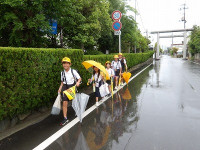 IMGP7743