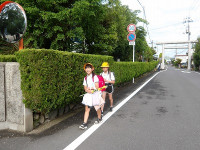 IMGP7868