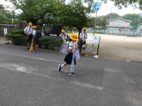 IMGP7919