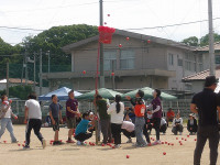 IMGP8105