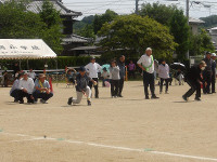 IMGP8146