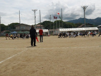 IMGP8227