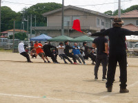 IMGP8233