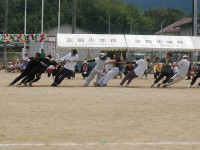 IMGP8234