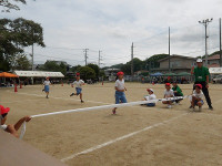 IMGP8239