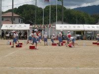 IMGP8251