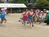 IMGP8264