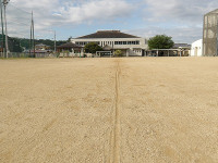 IMGP8352