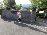 IMGP8335